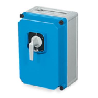 CAM-INT.PAR.C/BASE PFUS.IN CONT TERM.4X100A IP65 - PALAZZOLI 293053 - PALAZZOLI 293053 product photo Photo 01 3XL