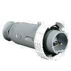 SPINA MOBILE DIRITTA 2P 16A 42V IP67 - PALAZZOLI 477103 - PALAZZOLI 477103 product photo