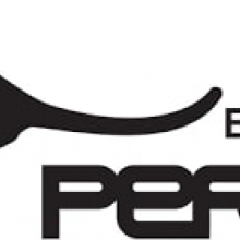 PERRY 1IO1281/M MODULO INTERRUTTORE DGT SETTIMANALE - PERRY ELECTRIC 1IO1281/M product photo