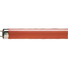 TL-D LAMP.FLUOR.LIN.36W G13 ROSSO - PHILIPS - LAMPADE 3615R - PHILIPS - LAMPADE 3615R product photo