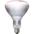 LAMPADA INFRAROSSI PAR38 250W E27 230V D.125MM CHIARA - PHILIPS - LAMPADE IR250CH product photo Photo 01 2XS