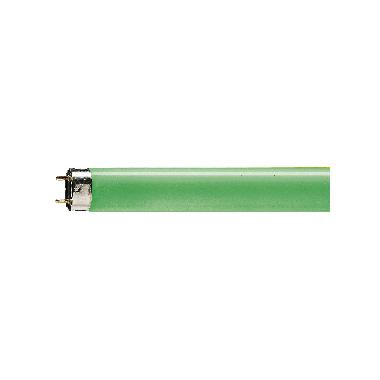 TL-D LAMP.FLUOR.LIN.36W G13 VERDE - PHILIPS - LAMPADE 3617V - PHILIPS - LAMPADE 3617V - PHILIPS - LAMPADE 3617V product photo Photo 01 3XL