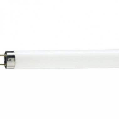 LAMPADA FLUORESCENTE LINEARE 36W/79 G13 FOOD - PHILIPS - LAMPADE 3679 product photo Photo 01 3XL