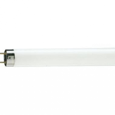 TUBO MASTER TLD LAMPADA FLUORESCENTE LINEARE 36W/950 G13 DE LUXE - PHILIPS - LAMPADE 3695PRO product photo Photo 01 3XL
