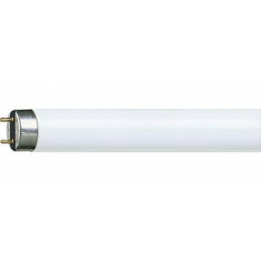 LAMPADA FLUORESCENTE LINEARE 58W/840 G13 MASTER TLD - PHILIPS - LAMPADE 5884NG product photo Photo 01 3XL