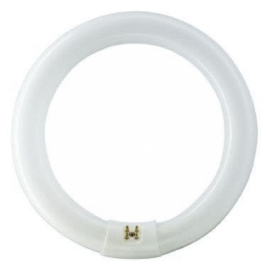 LAMP.FLUOR.CIRCOL.22W/84 G10Q - PHILIPS - LAMPADE E2284 - PHILIPS - LAMPADE E2284 product photo Photo 01 3XL