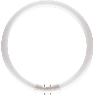 MASTER TL5 LAMP.FLUOR.LIN.22W/840 2GX13 - PHILIPS - LAMPADE TL5C2284 - PHILIPS - LAMPADE TL5C2284 - PHILIPS - LAMPADE TL5C2284 product photo Photo 01 3XL