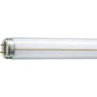 LAMP.FLUOR.LINEARE RAPID START 20W/33 G13 - PHILIPS - LAMPADE M2033 product photo