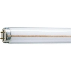 LAMPADA FLUORESCENTE LINEARE RAPID START 65W/33 G13 - PHILIPS - LAMPADE M6533 product photo