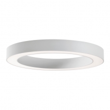 PLAFONIERA  LED 87W 3K B DALI - ROSSINI ILLUMINAZIONE CER007BDA product photo