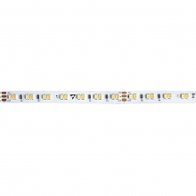 STRIP LED 17,3W/M 24V IP20 TW - ROSSINI ILLUMINAZIONE DAI228 product photo