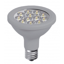 LAMPADINA PAR 30 LED - ROSSINI ILLUMINAZIONE L.258-11-C product photo