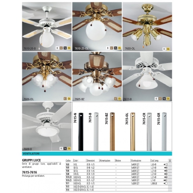GRUPPO LUCE PER VENTILATORE - ROSSINI ILLUMINAZIONE 7610/25OL product photo Photo 01 3XL
