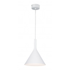 SOSPENSIONE IN METALLO - ROSSINI ILLUMINAZIONE ASI001B product photo