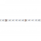 STRIP LED RGBW  3K 19,2W/M 24V IP20 - ROSSINI ILLUMINAZIONE DAI214 product photo