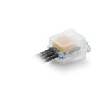 PASCAL 6 PACK 15 (CF 15 PZ) - RAYTECH PASCAL6P15 - RAYTECH PASCAL6P15 product photo