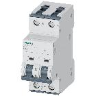 INT. MT 2P C0,5 ICN 6KA ICU 30KA - SIEMENS 5SY62057 - SIEMENS 5SY62057 product photo