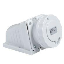 PRESA PAR.IP67 2P 16A 48V 50HZ - SCHNEIDER ELECTRIC 82153 - SCHNEIDER ELECTRIC 82153 - SCHNEIDER ELECTRIC 82153 product photo