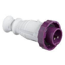 Spina mobile BTS IP67 32A 24V 50Hz 2P - SCHNEIDER ELECTRIC 82365 product photo