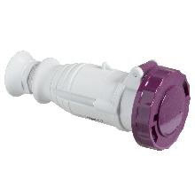 Presa mobile BTS IP67 16A 24V 50Hz 2P - SCHNEIDER ELECTRIC 82451 product photo