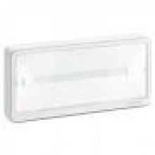 PLAFONIERA EMERGENZA EXW LIGHT IP65 ACT 250 1/1,5/2/3H SE/SA - SCHNEIDER ELECTRIC OVA44113 - SCHNEIDER ELECTRIC OVA44113 product photo