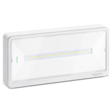 PLAFONIERA EMERGENZA EXIWAY LIGHT, IP42, AUTOALIMENTATO AUTODIAGNOSI ACTIVA, SE-SA, 500/400/300/250 LM SE, 230LM SA, 1/1,5/2/3H - SCHNEIDER ELECTRIC OVA44114 - SCHNEIDER ELECTRIC OVA44114 product photo