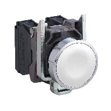 PULSANTE BIANCO - SCHNEIDER ELECTRIC XB4BA11 - SCHNEIDER ELECTRIC XB4BA11 - SCHNEIDER ELECTRIC XB4BA11 product photo