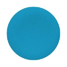 Capsula blu - senza marcatura- per testa pulsante a filoghiera circolare - [prezzo per 100 pz] - SCHNEIDER ELECTRIC ZBA6 product photo