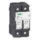 PORTA-FUSIBILE 32A 10X38 2P - SCHNEIDER ELECTRIC DF102 - SCHNEIDER ELECTRIC DF102 - SCHNEIDER ELECTRIC DF102 product photo Photo 01 2XS