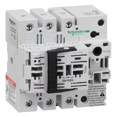 INT.SEZ..3X32A 10X38 - SCHNEIDER ELECTRIC GS1DD3 - SCHNEIDER ELECTRIC GS1DD3 - SCHNEIDER ELECTRIC GS1DD3 product photo Photo 01 3XL