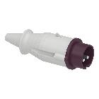 Spina mobile BTS IP44 16A 24V 50Hz 2P - SCHNEIDER ELECTRIC 82301 product photo