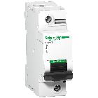Interruttore magnetotermico C120N 1P C 125A 10000A - SCHNEIDER ELECTRIC A9N18359 product photo