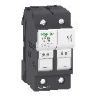 PORTA-FUSIBILE 32A 10X38 2P - SCHNEIDER ELECTRIC DF102 - SCHNEIDER ELECTRIC DF102 - SCHNEIDER ELECTRIC DF102 product photo