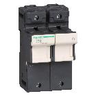 Portafusibile TeSys DF 125A - fusibile 22x58 2P - SCHNEIDER ELECTRIC DF222 product photo