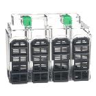 1 COPRIMORSETTI LUNGO 4P NSXM PP-B - SCHNEIDER ELECTRIC LV426913 - SCHNEIDER ELECTRIC LV426913 - SCHNEIDER ELECTRIC LV426913 product photo