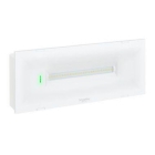 PLAFONIERA EMERGENZA EXIWAY TREND IP65 AUTOALIMENTATO STANDARD SE-SA 500/400/300/250LM SE 230LM SA 1/1,5/2/3H - SCHNEIDER ELECTRIC OVA47015 - SCHNEIDER ELECTRIC OVA47015 product photo