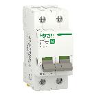 Interruttore sezionatore RESI9 IN 2P 40A 2 Moduli - SCHNEIDER ELECTRIC R9PS240 product photo
