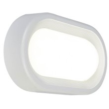 PLAFONIERA OVALE 18W LED 4000K - SOVIL 99104/02 product photo