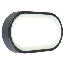 PLAFONIERA OVALE 18W LED 4000K - SOVIL 99104/16 product photo