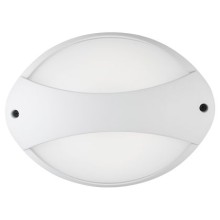 PLAFONIERA FASCIA 7W LED 4000K - SOVIL 99512/02 product photo
