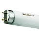 F30W/T8 PLUS 840 - SYLVANIA 0001080 - SYLVANIA 0001080 product photo Photo 01 2XS