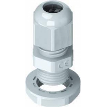 PRESSACAVO POLIAMIDE PG21 12-16 7035 - TEAFLEX PTE21G product photo