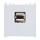 ALIMENTAZIONE 5V DOPPIA USB 2.1A 1 MODULO BIANCO - URMET DOMUS 10330/2.B product photo Photo 02 2XS