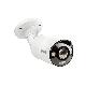 IP 8M,PANORAMA 180Ø - URMET DOMUS 1099/681 - URMET DOMUS 1099/681 product photo Photo 01 2XS