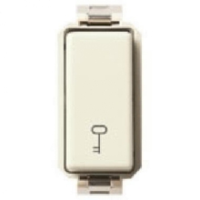 PULSANTE 1P NO 10A SIMBOLO CHIAVE SERIE 8000 - VIMAR 08263 product photo