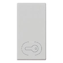 TASTO 1 MODULO SIMBOLO CHIAVE SILVER - VIMAR 14021.P.SL product photo