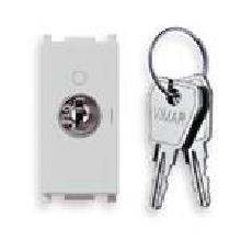 PLANA-INTERR.2P 16AX +CHIAVE ESTR.POS.O SILVER - VIMAR 14083.S.SL product photo