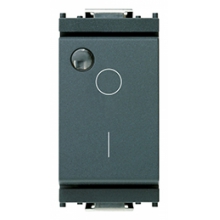 INTERRUTTORE 2P 16AX LUMINOSO SERIE IDEA GRIGIO - VIMAR 16036 product photo