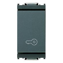 PULSANTE 1P NO 10A CHIAVE GRIGIO - VIMAR 16080.P product photo