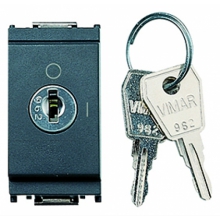 INTERRUTTORE IDEA 2 PULSANTI 16A C/CHIAVE GRIGIO - VIMAR 16165 product photo